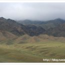 바얀불락 이미지