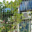 성혜내과의원 이미지