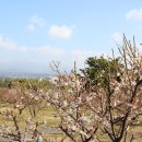 서홍동-9 이미지