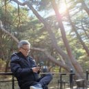 호포로 이미지
