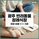 반려시아 | 광주 반려동물 장례식장, 비용·후기와 화장 참관 기준