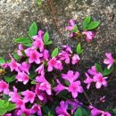 뉴태창여행사 이미지