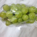길동청과