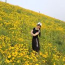 댄스스포츠 야간 이미지