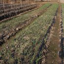 봉희농장 이미지