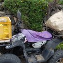 성계자동차 이미지