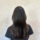 엘리헤어 이미지