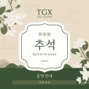 TGX GOLF ACADEMY 이미지