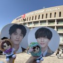 헤나킹 큐사랑 | 킹앤프린스 King&amp;Prince DOME TOUR 2026 STARRING 후쿠오카 페이페이돔 투어 참전 후기(260117 쇼니치)