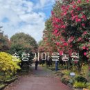 선녀와나뭇꾼 이미지