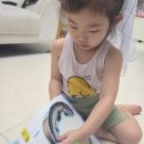 조물조물 | 공룡 좋아하는 아이 집에 딱, 직접 만드는 빨간펜 조물조물 팝업 만들기 전집 후기