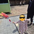 다둥이도시락 | 청주동물원 가족나들이 후기｜다둥이 무료입장·수의사 만남·아이와 가기 좋은 동물원 추천