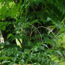 유일여자고등학교 이미지