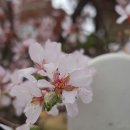 문산리 경로당 이미지