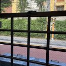 씨제이올리브영(주) 동부이촌점 | [용산 이촌] 르미야/반포대교,잠수교 분수 후기