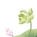 한국행정사 이미지