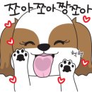 율하위드동물병원
