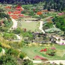 안면도자연휴양림 이미지