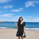 동해바다 이미지