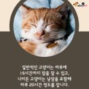 잠꾸러기 이미지