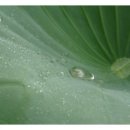 현진아파트경로당 이미지