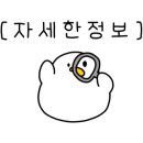 스코니 네이버블로그