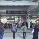 2025년 4월 제주 한달 살기 이미지