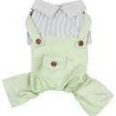 그린애견샵 이미지