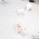 주견야독 이미지