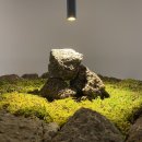 랑데자뷰 대전점 이미지