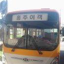 홍주여객 이미지