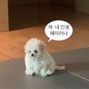 위례대로4길 | 영원무렵
