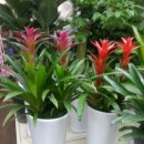 동광모터스 이미지