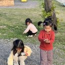 철수네농수산물 | 평일 저녁 난지캠핑장 바비큐존 12인석 후기, 가족 캠핑으로 너무 좋았던 이유
