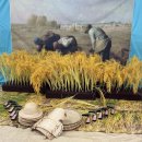 선민꿈어린이집 이미지