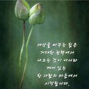 Carmen / Somewhere my love 이미지