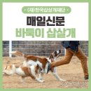 바둑이연구소 이미지