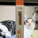 마이쏠펫 이미지