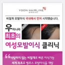 라인헤어 이미지