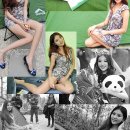 짜오바오 이미지