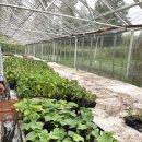 미성농장 이미지