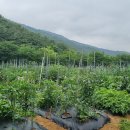 종호농장 이미지