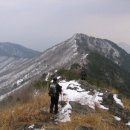 대촌1리 이미지