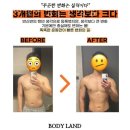 바디랜드 이미지