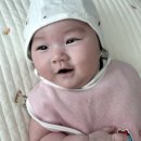 윤세탁 | 오가닉코튼 아기 턱받이 추천, 지니윤 오가닉 테리 하우스빕 후기
