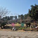 사뿐사뿐 | 🦜 제주 화조원 방문 후기! 아이와 제주 여행 추천 동물체험