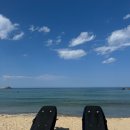 서프오션 양양