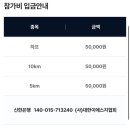 이에스지 | 서울 상암 월드컵공원 마라톤대회 2026 푸른하늘런 총정리