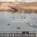 성원아파트 앞 이미지