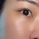 담에스테틱3 이미지